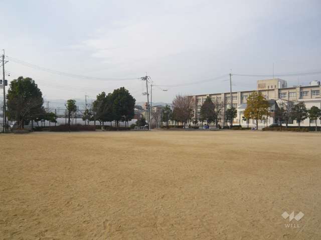 あらきの森公園の写真