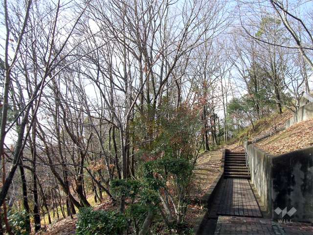 山麓公園の写真