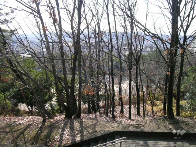 山麓公園の写真