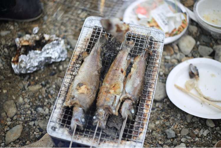 北田原ます釣り場の写真