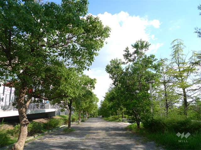 山手台中央公園の写真