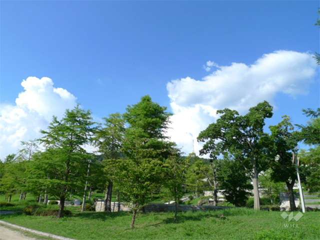 山手台中央公園の写真