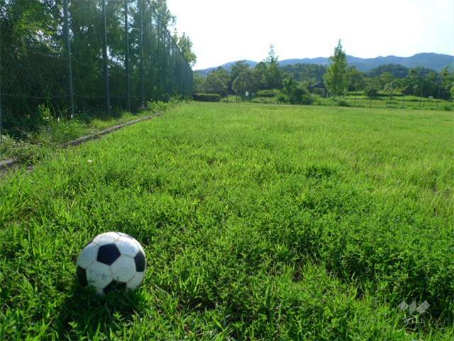 山手台中央公園の写真