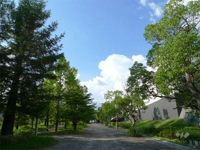 山手台中央公園の写真