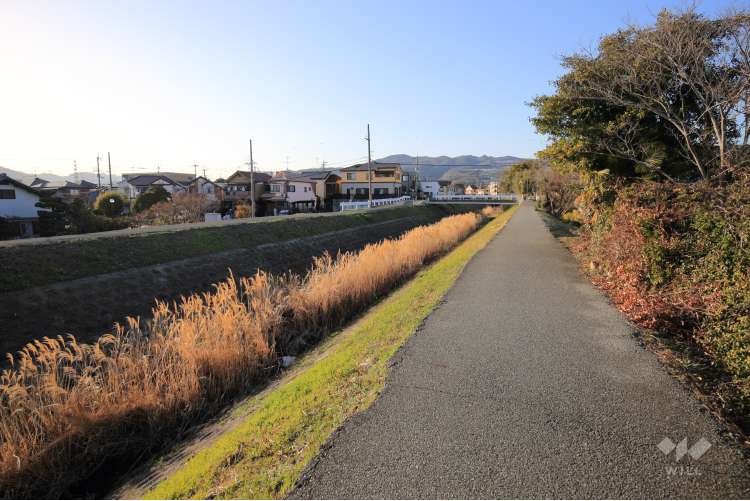 天王寺川の写真