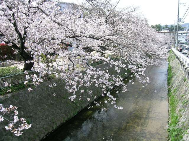 東川の写真