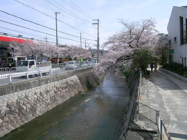 東川の写真