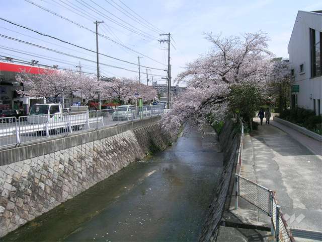 東川の写真