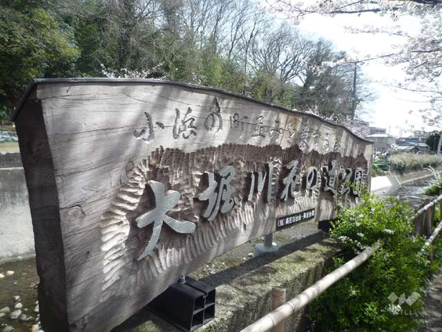 大堀川の花道の写真