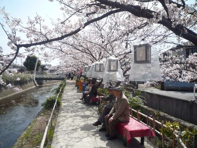 大堀川の花道の写真