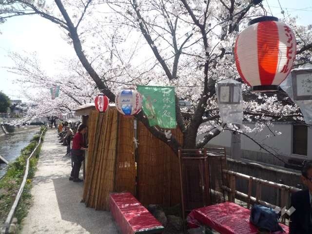 大堀川の花道の写真