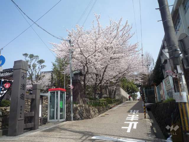 大堀川の花道の写真