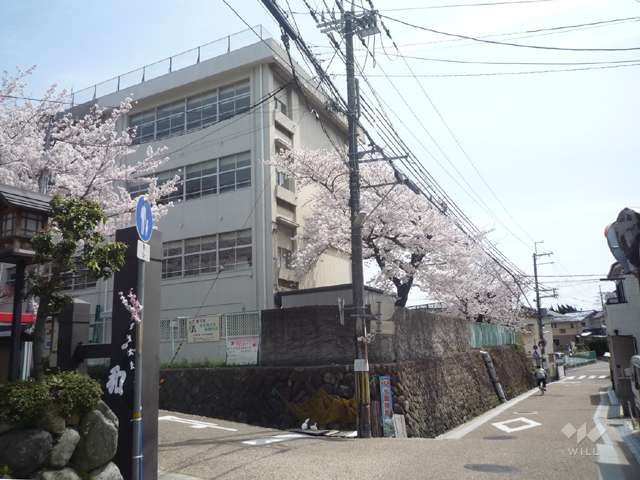 大堀川の花道の写真