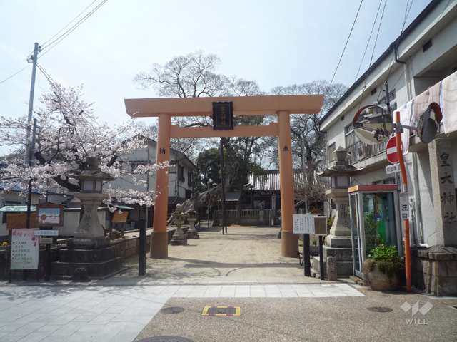 大堀川の花道の写真