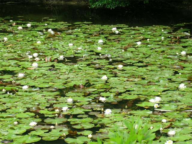 高塚公園の写真
