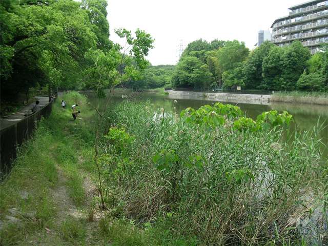 山田西公園の写真
