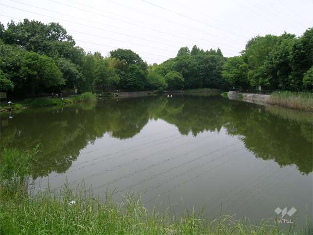 山田西公園の写真