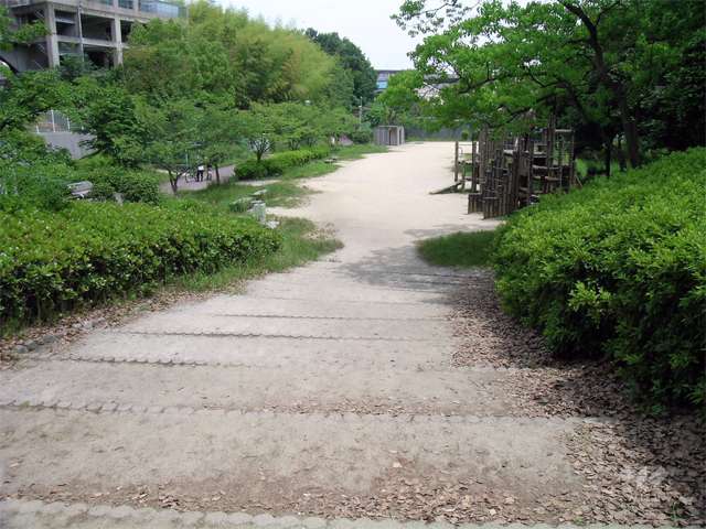 山田西公園の写真
