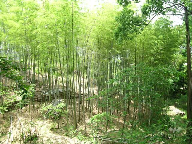 山田西公園の写真