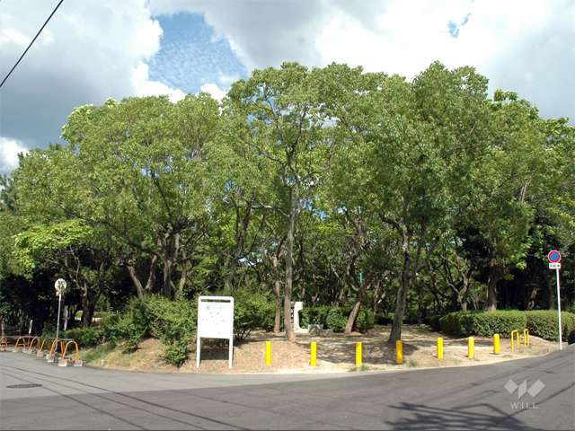 古江公園の写真