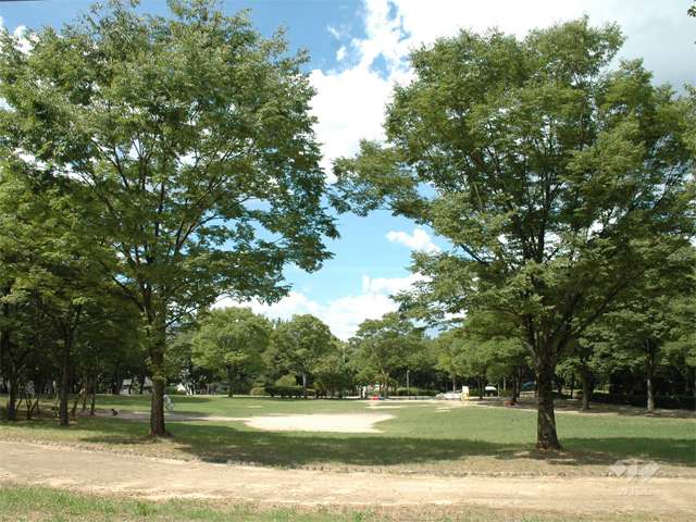 古江公園の写真