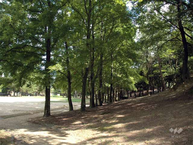 古江公園の写真