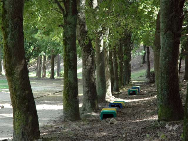 古江公園の写真