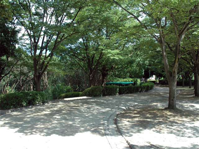 古江公園の写真