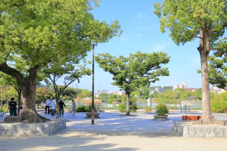 市場池公園の写真