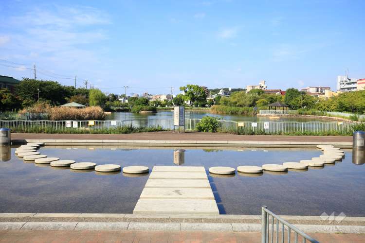 市場池公園の写真