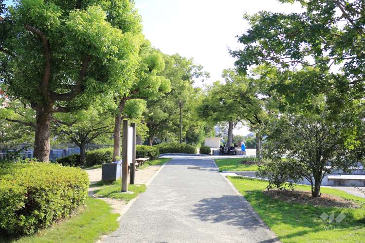 市場池公園の写真