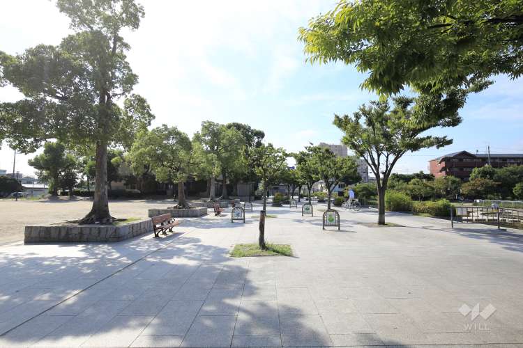 市場池公園の写真