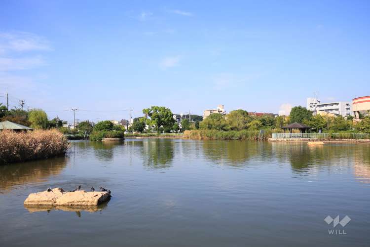 市場池公園の写真