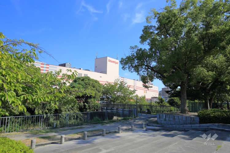 市場池公園の写真
