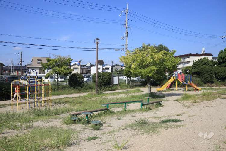 市場池公園の写真