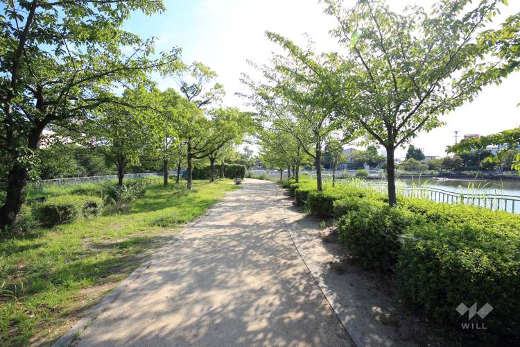 市場池公園の写真
