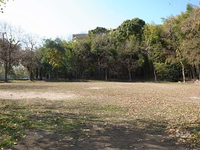 桃山台スポーツグラウンドの写真