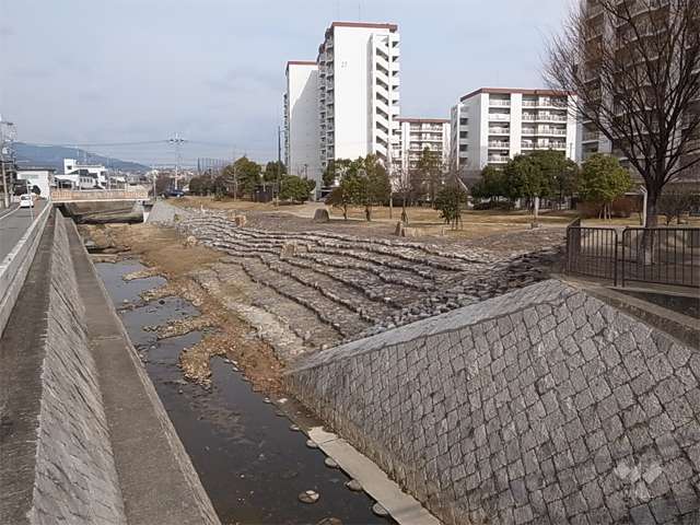 東川親水中公園と東川親水北公園の写真