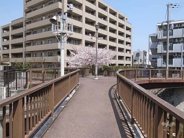 庄下川のX橋の写真