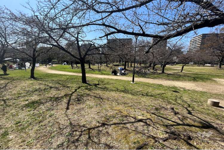 毛馬桜之宮公園の写真