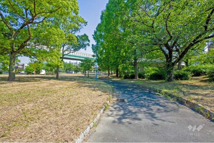 毛馬桜之宮公園の写真