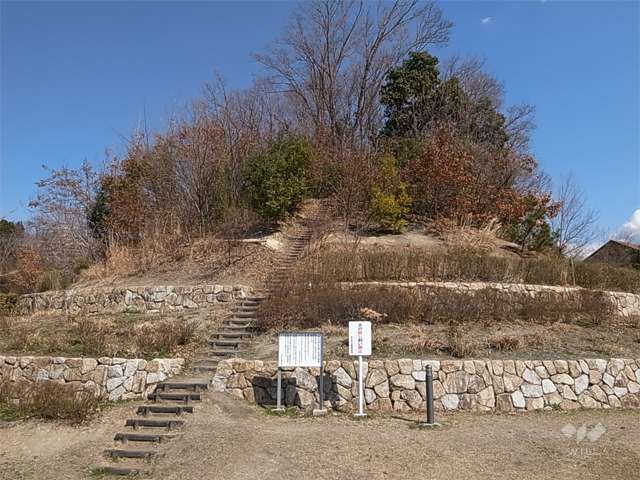 あさぎ里山公園の写真