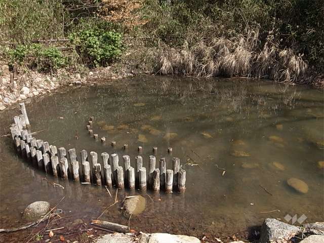 あさぎ里山公園の写真