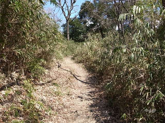 あさぎ里山公園の写真