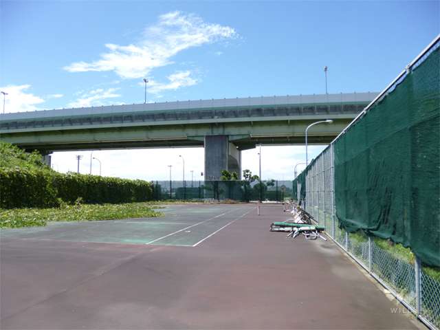 空港緑地グラウンドの写真