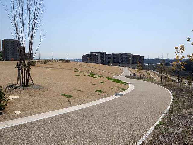 彩都西公園の写真