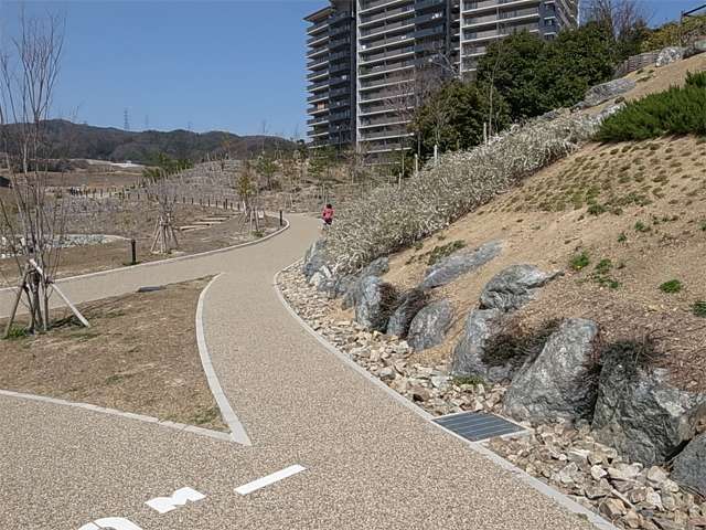 彩都西公園の写真