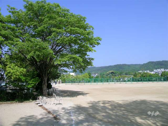 第二総合運動場の写真
