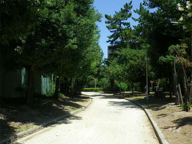 豊島公園の写真