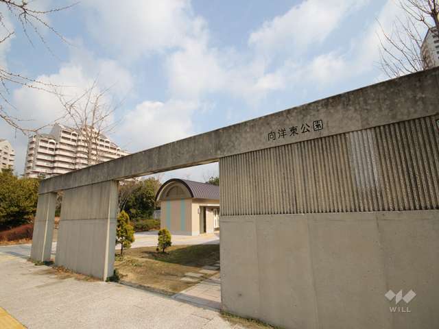 向洋東公園の写真